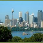 Skyline von Sydney vom Zoo aus gesehen (2)