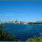 Skyline von Sydney vom Zoo aus gesehen