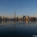 Skyline von Toronto