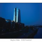 Skyline Walk ECB Frankfurt