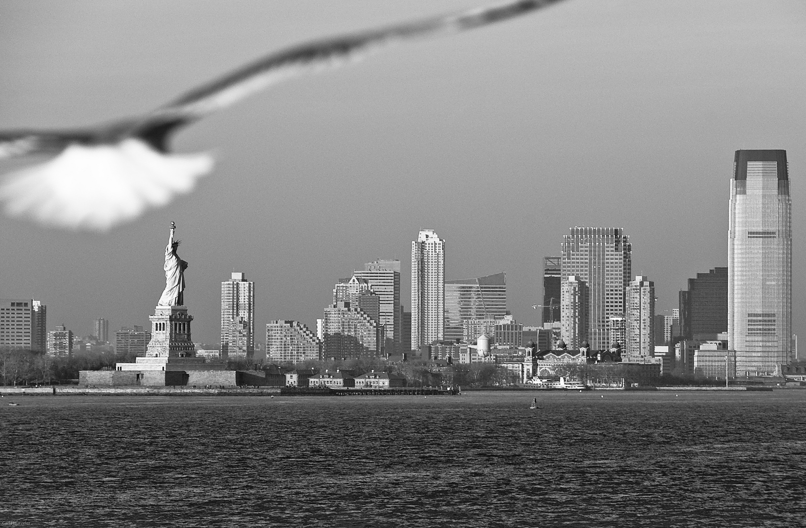 Skyline with Lady Liberty