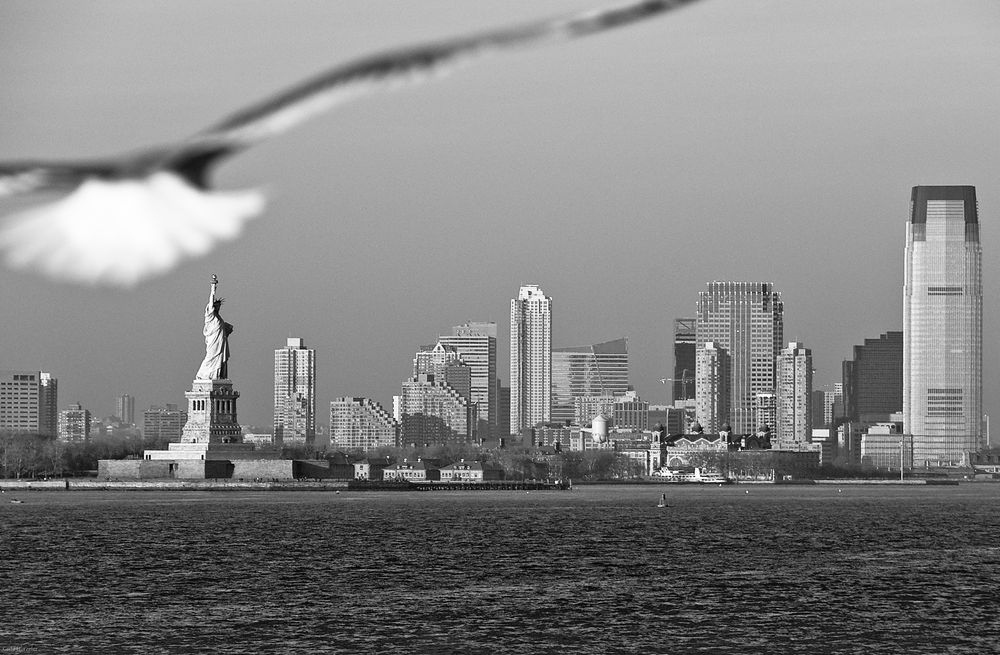 Skyline with Lady Liberty