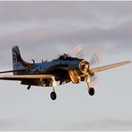 Skyraider (2)