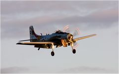 Skyraider (2)