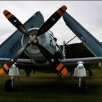 Skyraider (3)