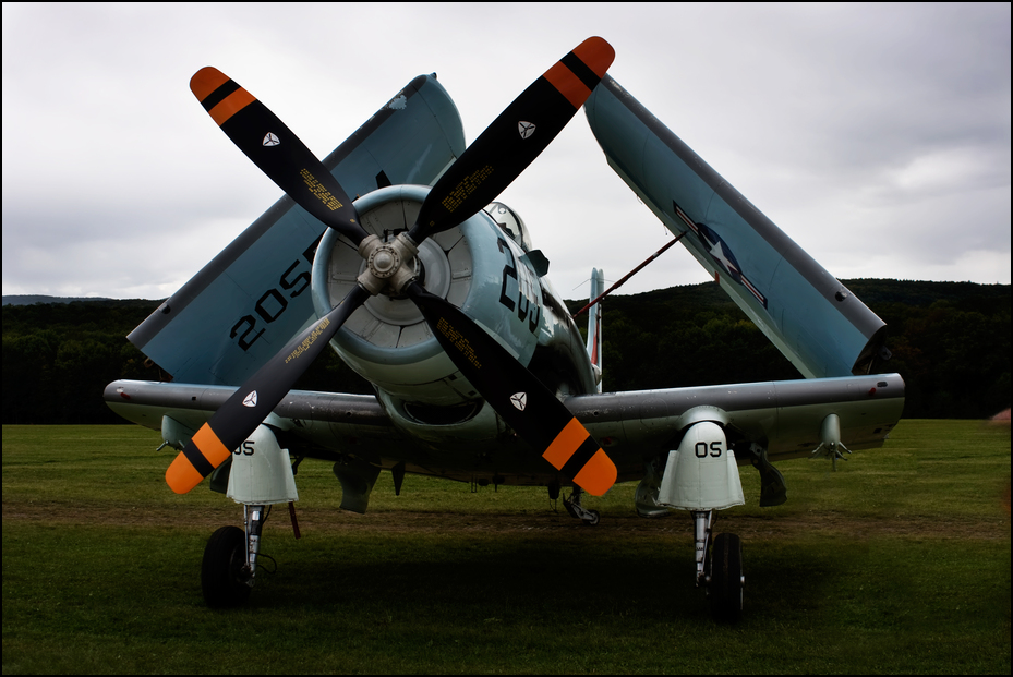 Skyraider (3)