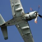 Skyraider