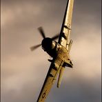 Skyraider