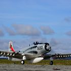 Skyraider - Modellflugzeug02