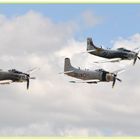 Skyraider Trio