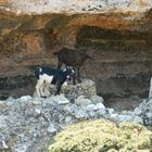 Skyros Sporades