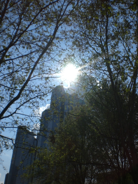 Skyscrapers of Frankfurt am Main