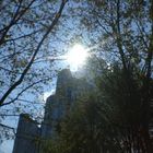 Skyscrapers of Frankfurt am Main