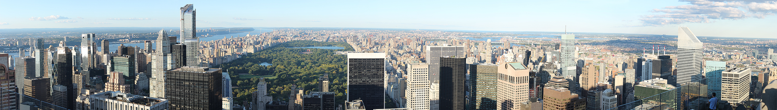 skyscrapers vs. jungle