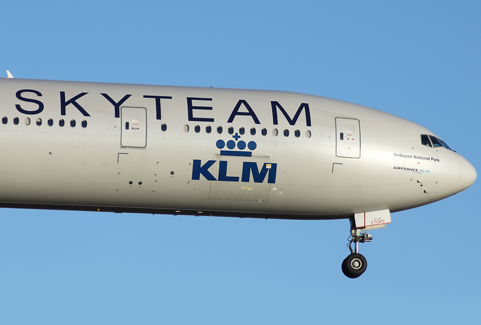 ~SKYTEAM~