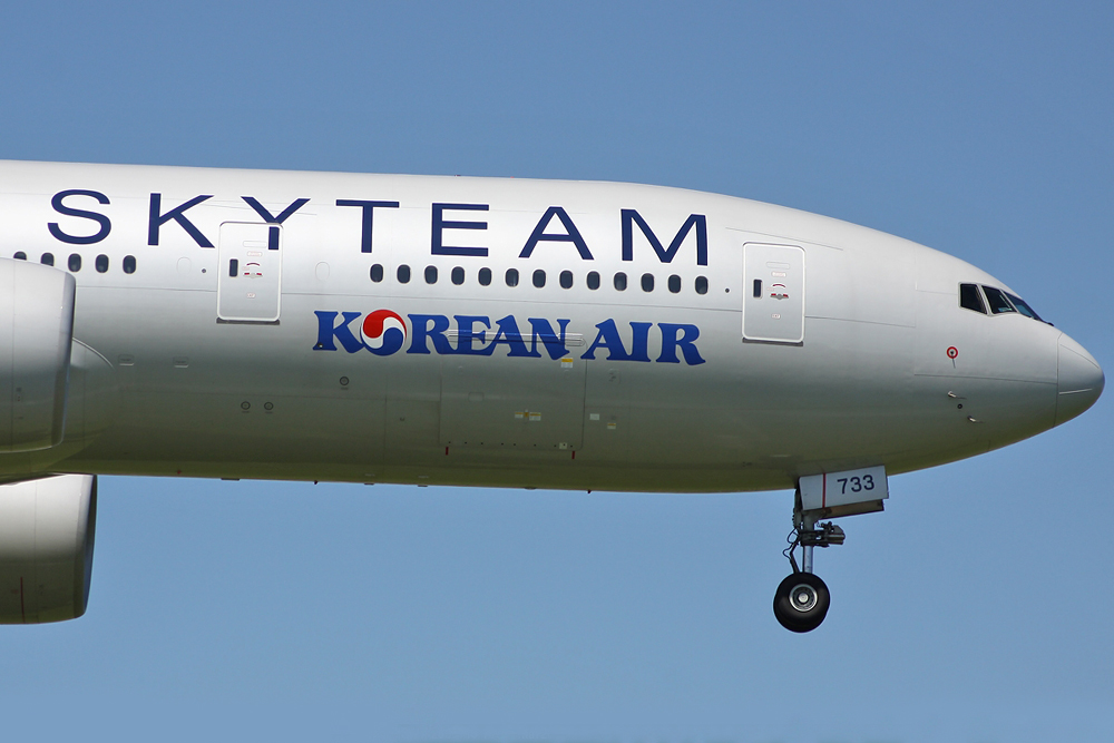 *SkyTeam*