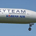 *SkyTeam*