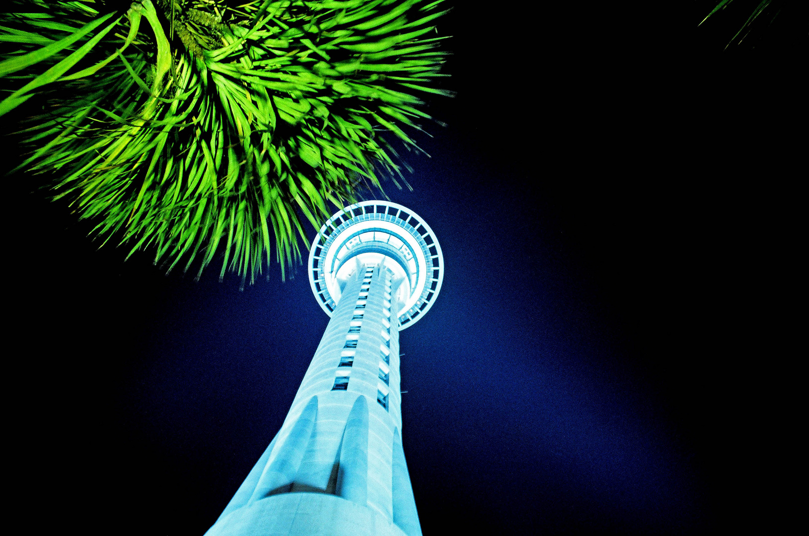 Skytower aus der Froschperspektive