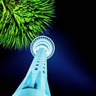 Skytower aus der Froschperspektive