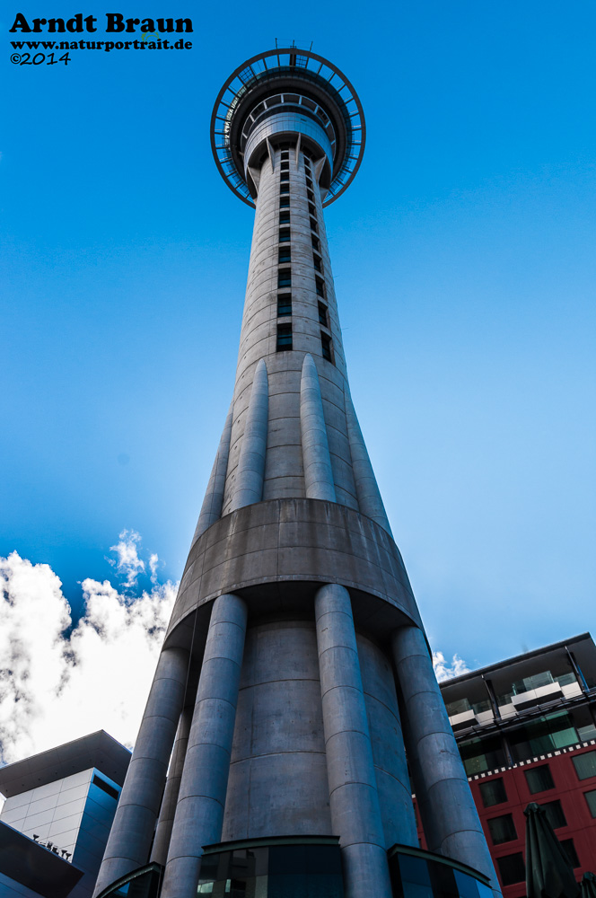 SkyTower in Auckland