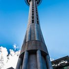 SkyTower in Auckland