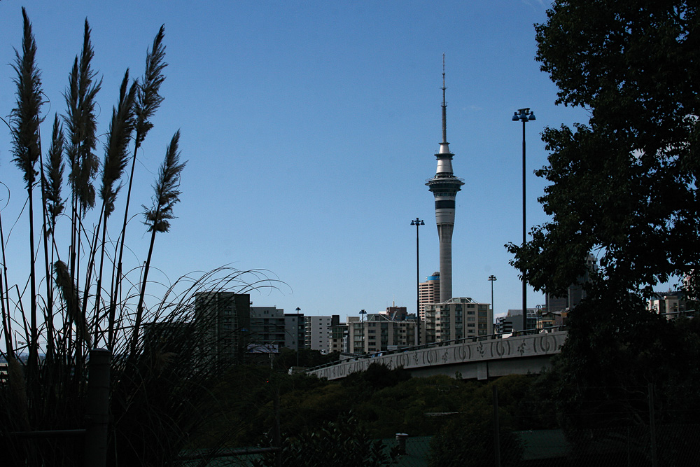 Skytower of Auckland