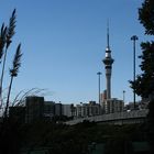 Skytower of Auckland