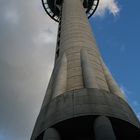 Skytower of Auckland