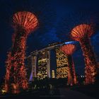 Skytrees in Singapore