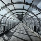 Skywalk #2 ...