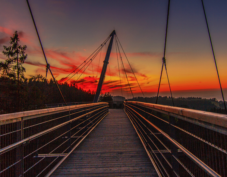 Skywalk Allgäu