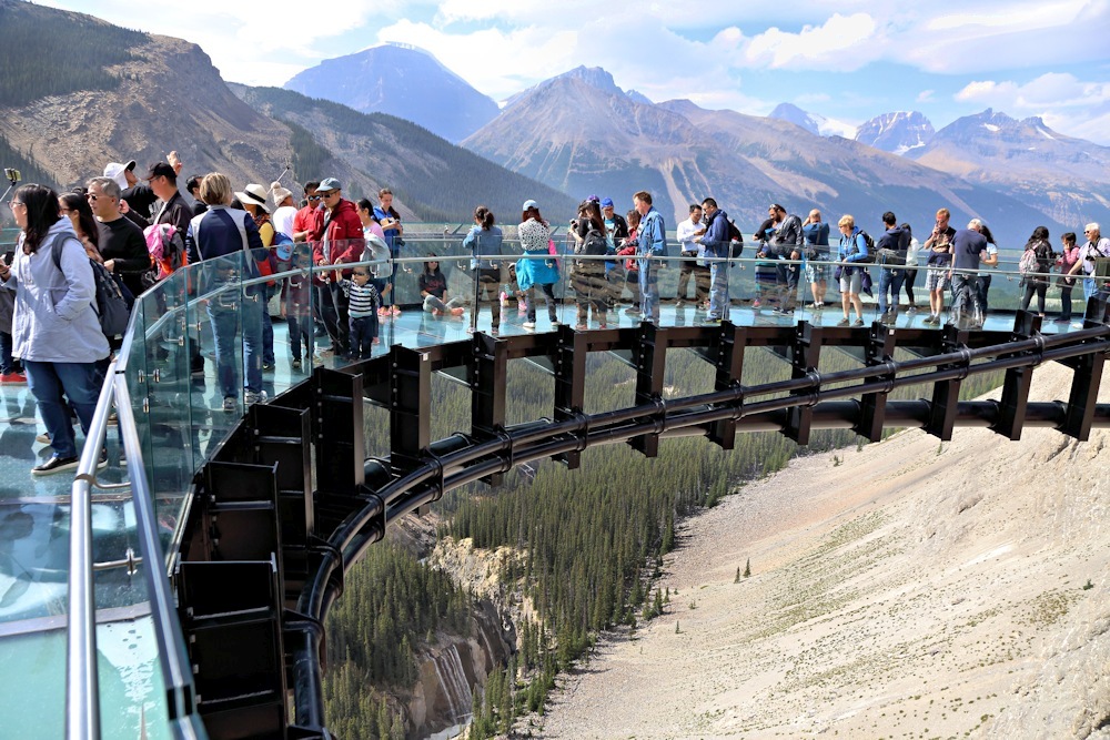 Skywalk Icefield