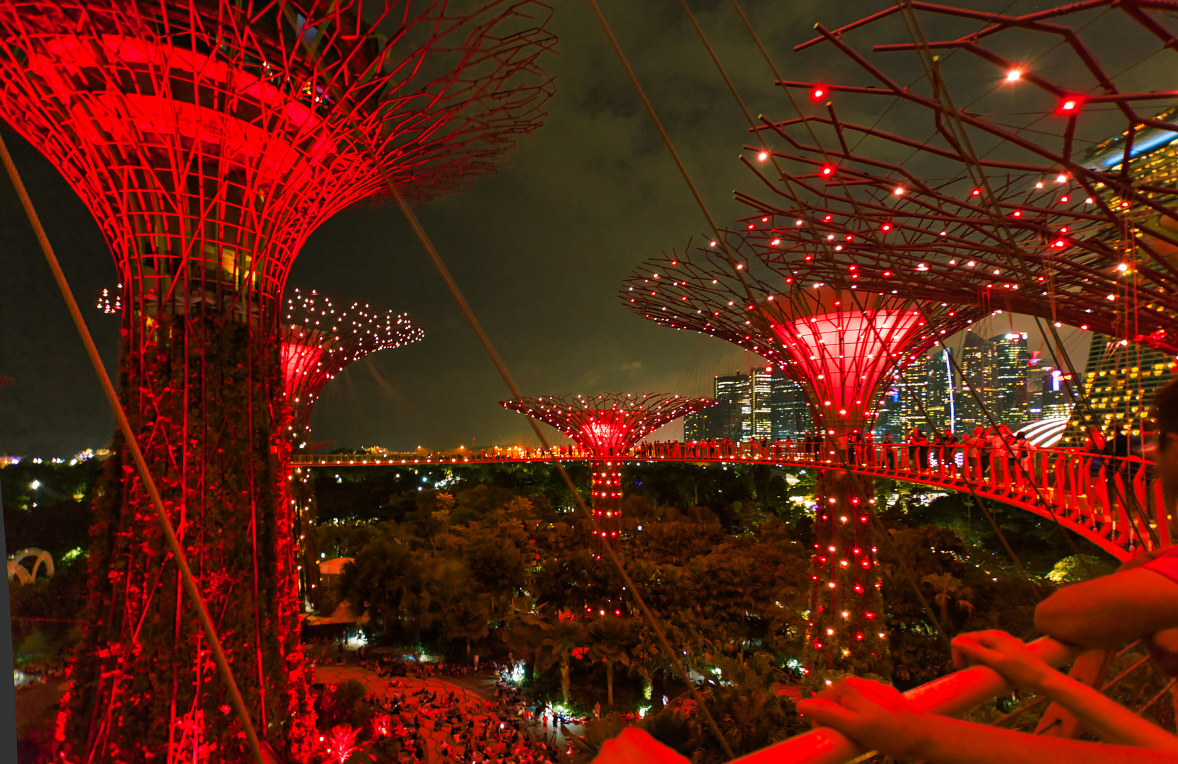 Skywalk mit Rote Supertrees