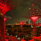 Skywalk mit Rote Supertrees