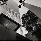 Skyward - A Midtown East Impression