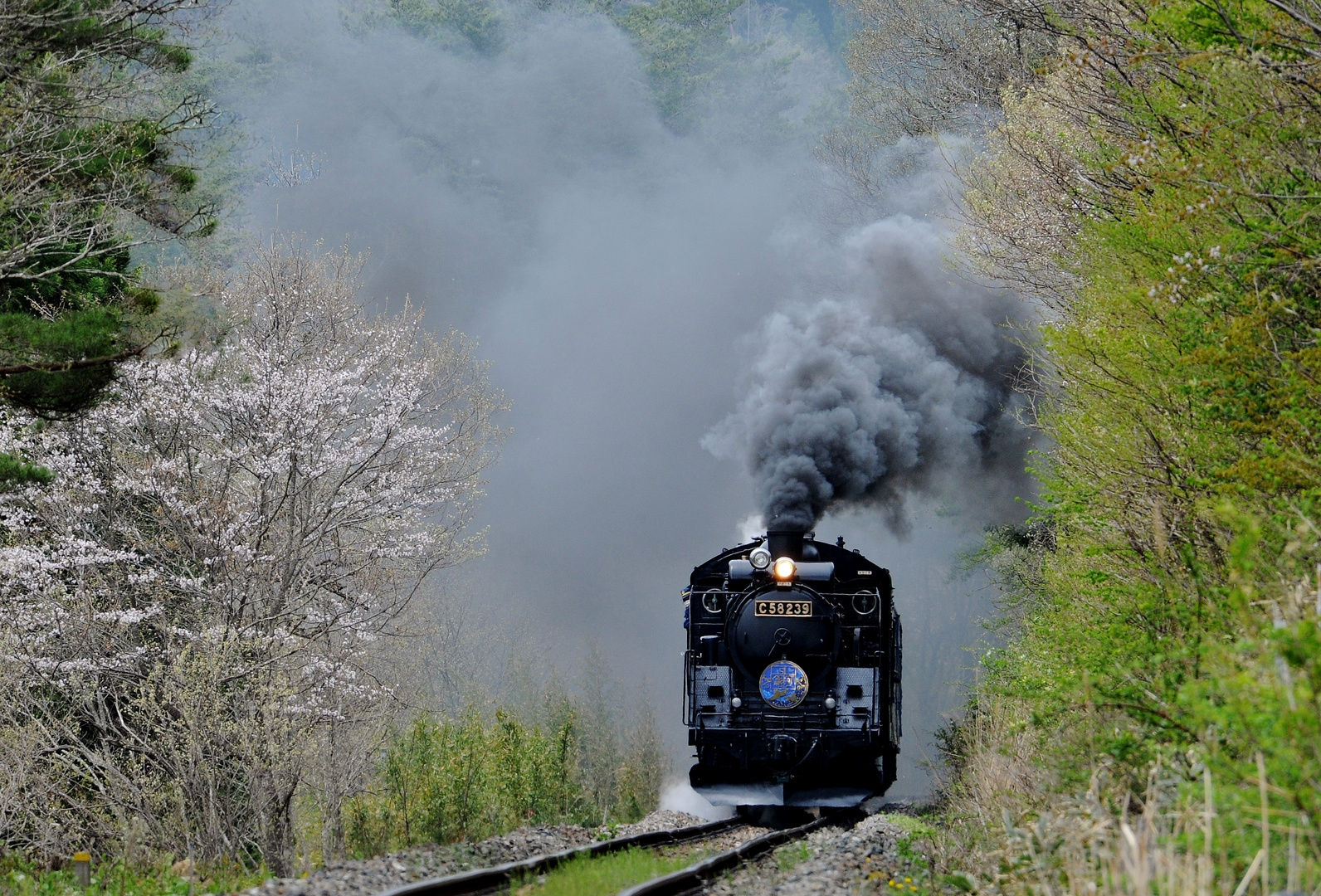 " SL-Galaxy " in the Windy Spring !