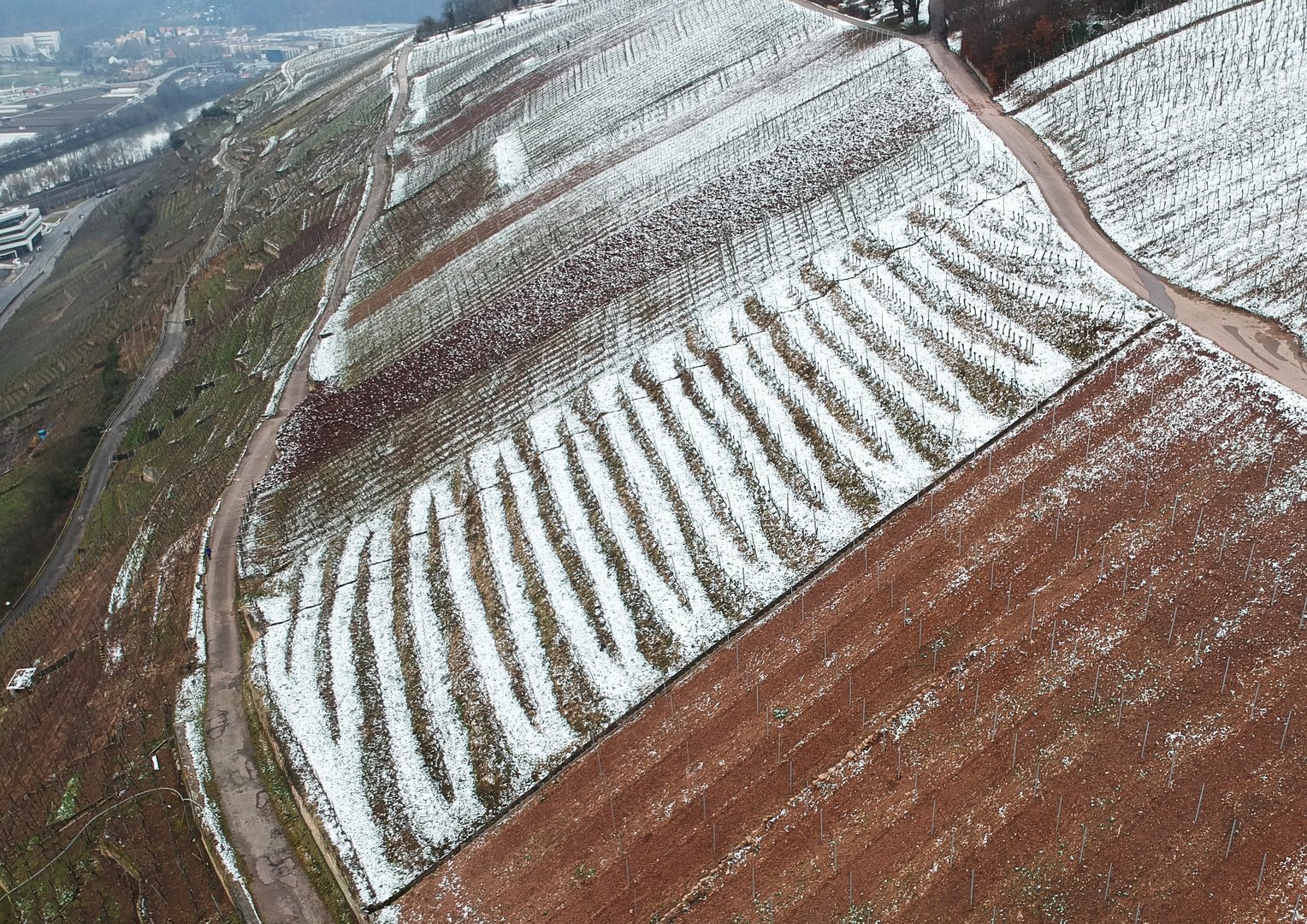 Slalompisten in den Esslinger Weinbergen 