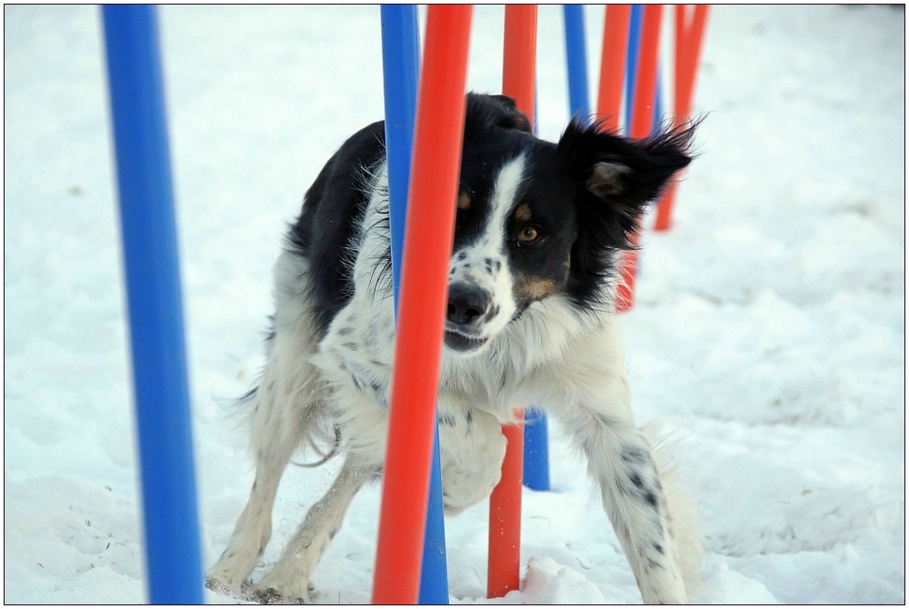 Slalomtraining im Schnee (2)