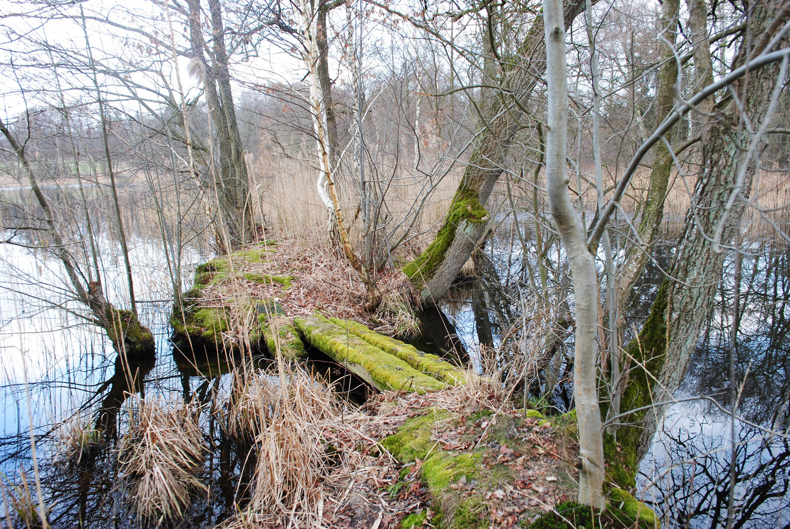 Slater Moor