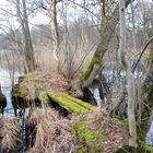 Slater Moor