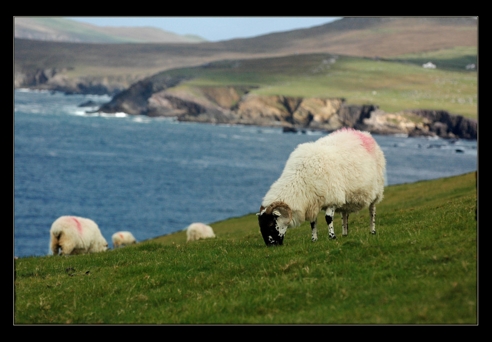 Slea Head