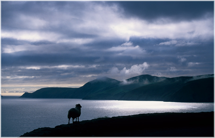 Slea Head (Dingle Halbinsel) #01