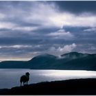 Slea Head (Dingle Halbinsel) #01