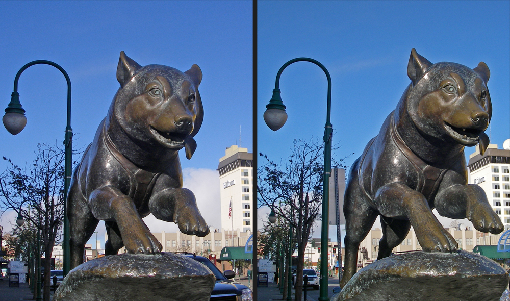 Sled Dog Memorial