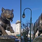 Sled Dog Memorial