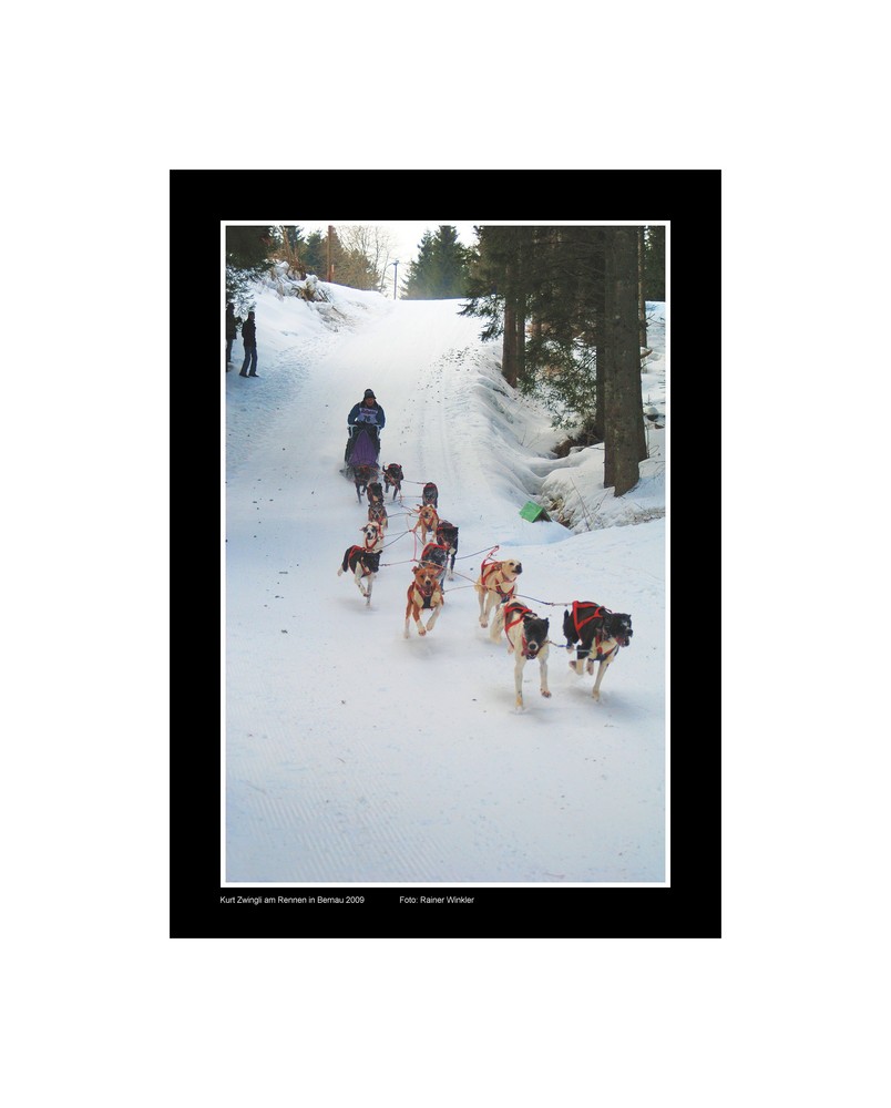 Sled-Dog-Racing