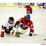 Sledge hockey2