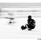 Sledge hockey8