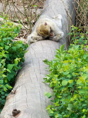 Sleep very well! ;-)