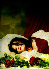 ***sleeping beauty***